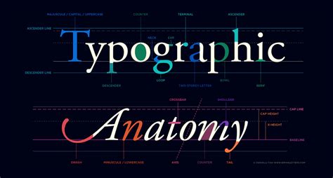 Understanding typography - Material Design - muktibox.com