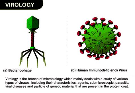 Understanding Virology: The Science of Viruses - Prezi - muktibox.com