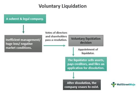 Understanding Voluntary Liquidation: Process and Key … - balustradellc