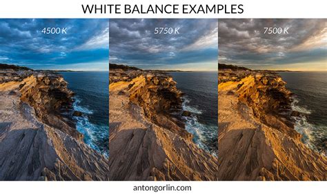 Understanding White Balance & Color Temperatures in 8 Steps - balustradellc