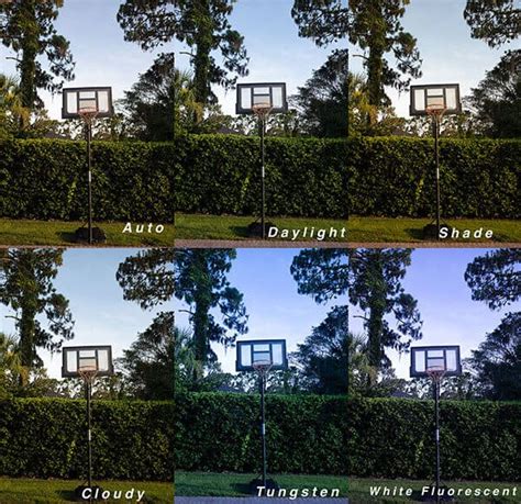 Understanding White Balance in Photography (With 7 … - balustradellc
