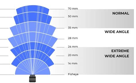Understanding Wide Angle Lens Distortion: Causes, Effects, And ... - balustradellc