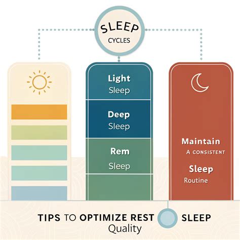 Understanding Your Sleep Cycles for Better Rest - balustradellc