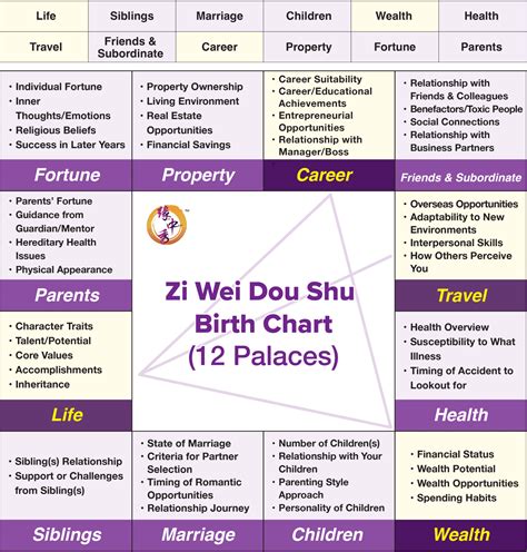 Understanding Zi Wei Dou Shu and Its Impact on Your Destiny - balustradellc