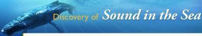 Underwater Acoustics: 2026 DOSITS Webinar Series - Acoustic … - raincitystudios.com