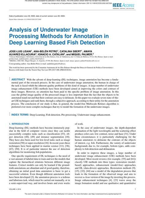 Underwater image processing and analysis: A review - raincitystudios.com