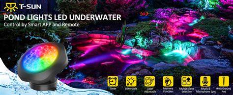 Underwater Lights - Scuba - raincitystudios.com