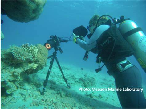 Underwater Marine - Offshore Service and Maintenance - raincitystudios.com