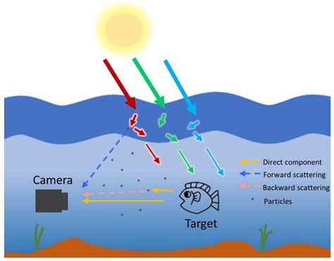 Underwater Optical Imaging: Key Technologies and ... - IEEE Xplore - raincitystudios.com