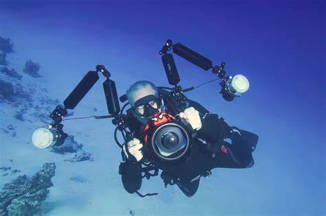 Underwater Photographer | Careers & Salary - The Art … - raincitystudios.com