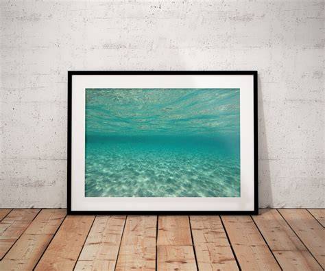 Underwater Photography: Prints & Wall Art - raincitystudios.com