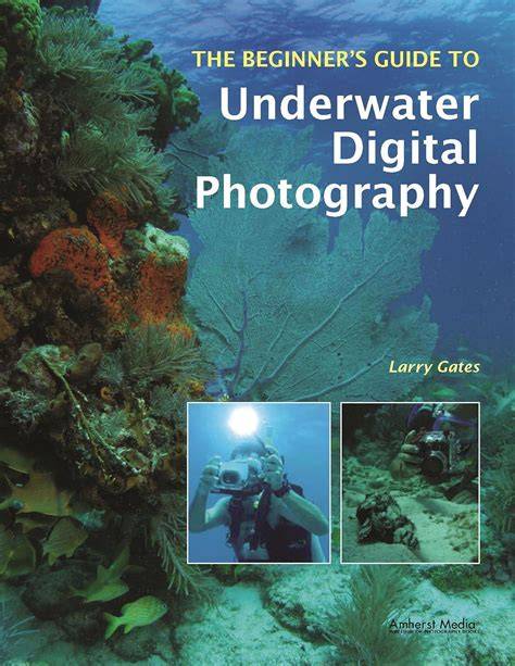 Underwater Photography: The Ultimate Guide 2026 - Social Diving - raincitystudios.com