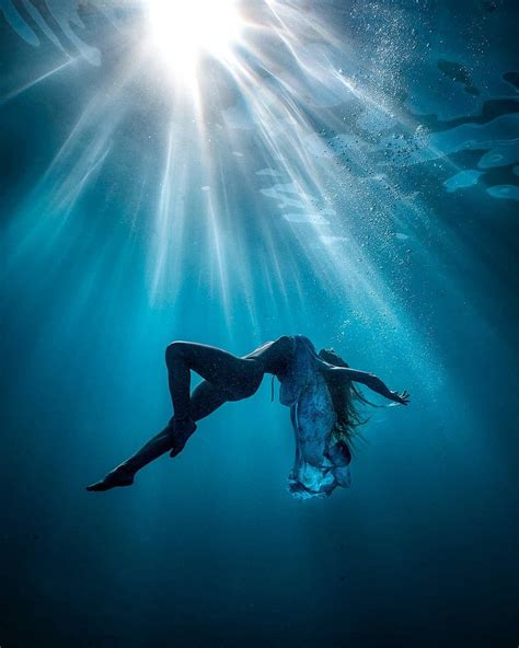 Underwater Photography Art royalty-free images - raincitystudios.com