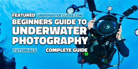 Underwater Photography Beginners Tutorial - raincitystudios.com