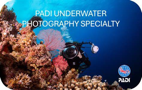 Underwater Photography Course | Start Online - PADI - raincitystudios.com