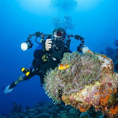 Underwater Photography Courses & Workshops at Lembeh Resort - raincitystudios.com
