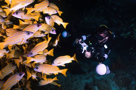 Underwater Photography Guide - balustradellc