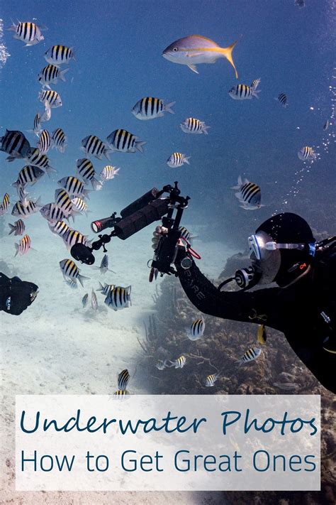 Underwater Photography Tips (Beginners) - raincitystudios.com