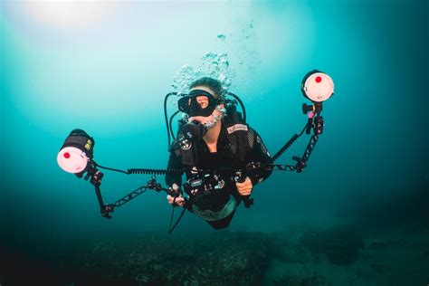 Underwater Photography Workshop, South Africa - Penda Photo Tours - raincitystudios.com