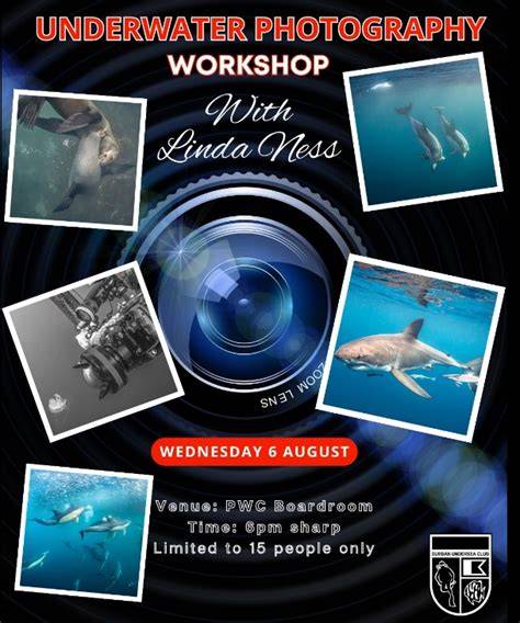 Underwater Photography Workshop - Paradise Taveuni … - raincitystudios.com