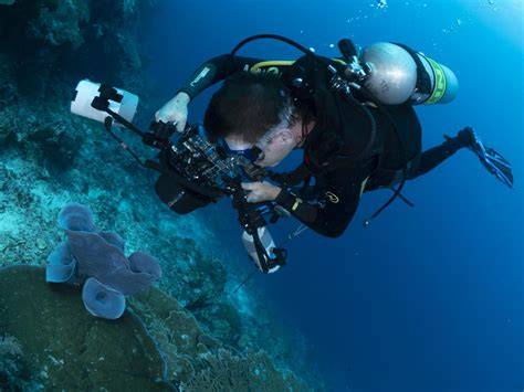 Underwater Photography Workshops | Shellharbour Scuba - raincitystudios.com
