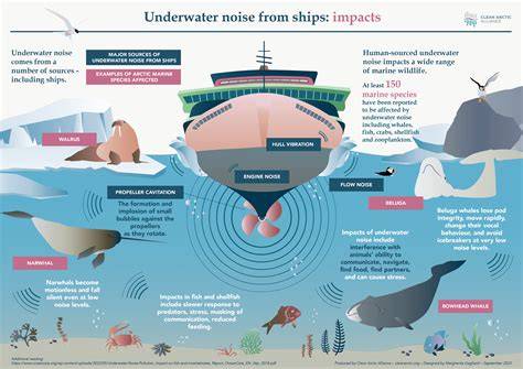 Underwater radiated noise from marine vessels: A review of noise ... - raincitystudios.com