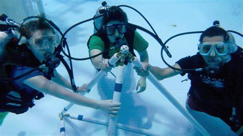 Underwater Training - Underwater Photography … - raincitystudios.com