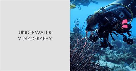 Underwater Videography: Getting Started Tips - raincitystudios.com