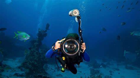 Underwater Videography: The Basics | B&H eXplora - raincitystudios.com