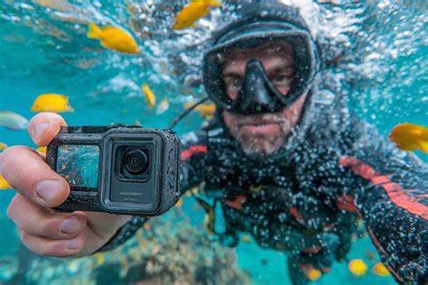 Underwater Videography Tips for Scuba Diving: … - raincitystudios.com