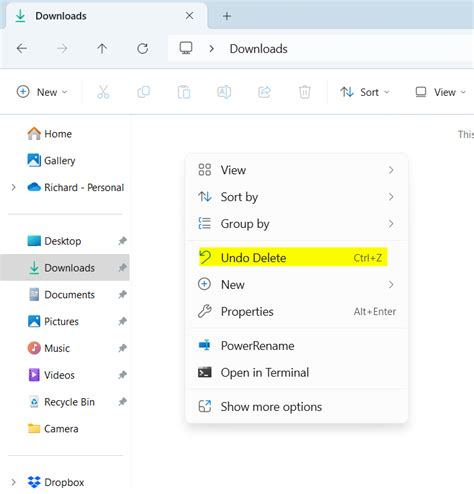 Undo and Redo in File Explorer in Windows 11 - balustradellc