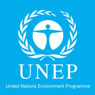 UNEP Manual Suggests Ways to Advance Green and …