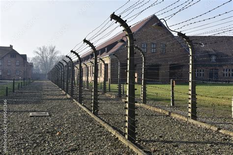 UNESCO listing of more Nazi camps sought - tribune.net.ph - wintechmobiles.com