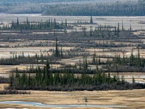 UNESCO report on Wood Buffalo park shows urgency of problems, First Nation says