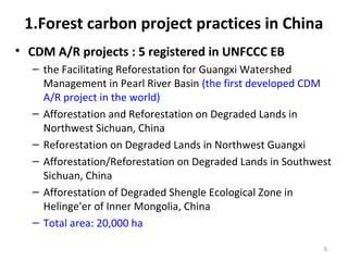 UNFCCC Publishes CDM Afforestation and Reforestation Project Manual - raincitystudios.com