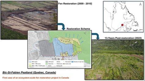 Unfolding a peatland’s story: Assessing the restoration outcomes and ... - raincitystudios.com