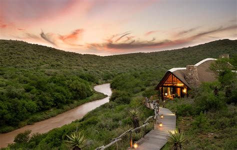 Unforgettable luxury safari adventure at Kwandwe: South Africa ... - MSN - balustradellc