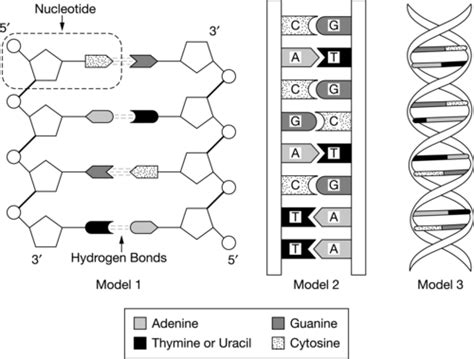 Unit 1 Progress Check: MCQ Flashcards | Quizlet - wintechmobiles.com