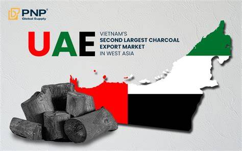United Arab Emirates (UAE) Charcoal Briquettes Market ... - raincitystudios.com