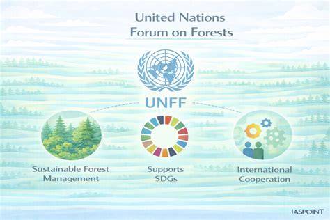 United Nations Forum on Forests » Global Forests … - raincitystudios.com