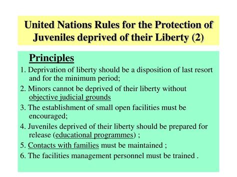 United Nations Rules for the Protection of Juveniles Deprived of their ... - balustradellc