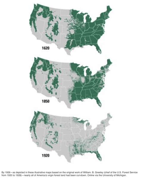 United States Deforestation Rates & Statistics | GFW - muktibox.com