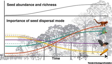 Uniting niche differentiation and dispersal limitation predicts ... - raincitystudios.com