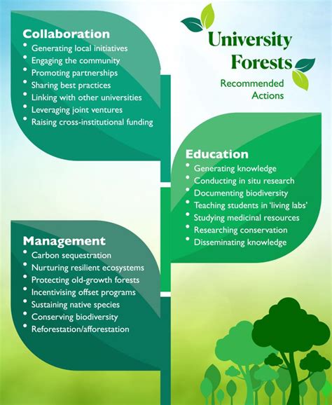 University forests and carbon sequestration: an untapped potential - raincitystudios.com