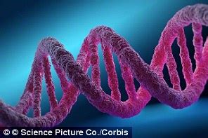 University of Pennsylvania scientists reprogram the … - balustradellc