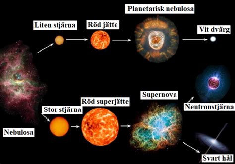 Universums död – Ugglans Fysik - balustradellc