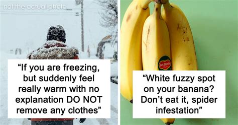 Unknown Facts About #Mercedes 1. Founding and History: Mercedes-Benz ... - wintechmobiles.com