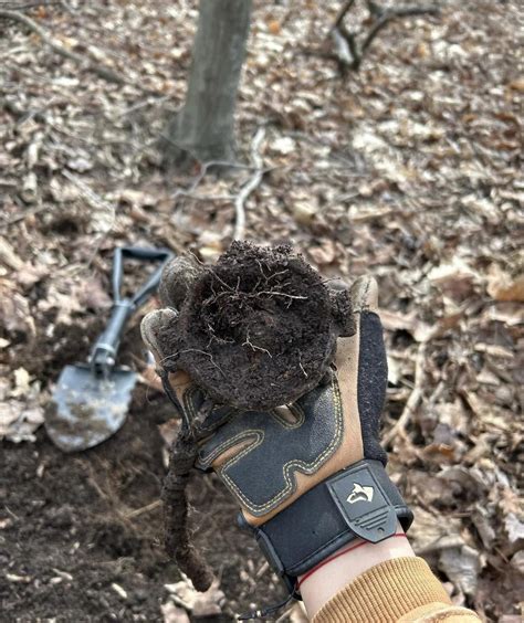 Unknown object found while metal detecting a 1850’s farm. Do - balustradellc