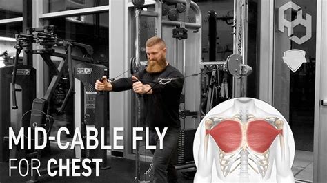 Unleash Your Chest: Mastering Cable Chest Flys for … - balustradellc