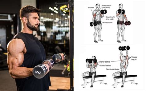 Unleash your upper body potential: step-by-step guide to dumbbell face ... - balustradellc